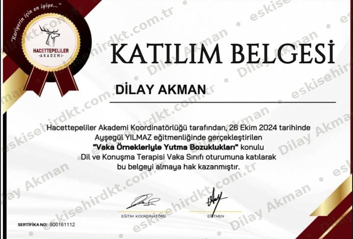 Vaka Örnekleriyle Yutma Bozuklukları belgesi önizlemesi